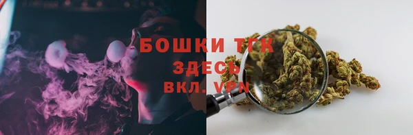 СК Белокуриха