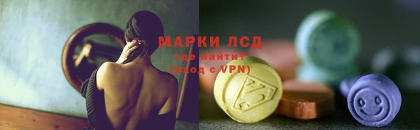 сатива Беломорск