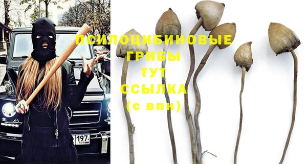 амфетамин Богданович