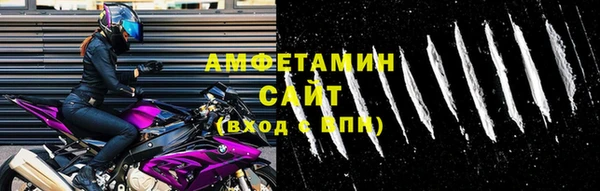 сатива Беломорск