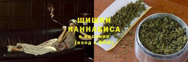сатива Богородицк