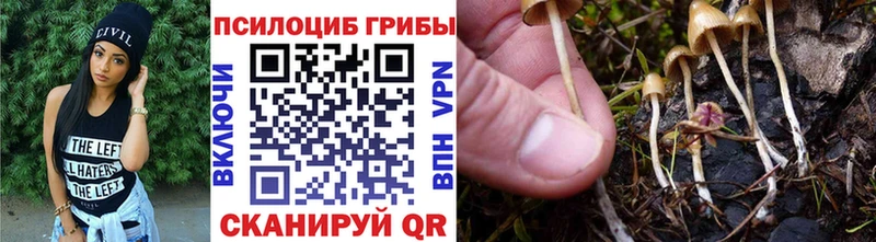 Галлюциногенные грибы прущие грибы  сколько стоит  Кушва 