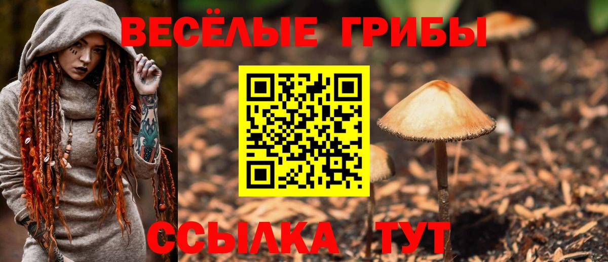 Псилоцибиновые грибы мухоморы Кушва