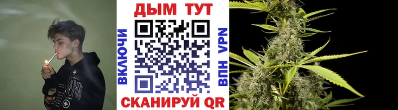 Конопля SATIVA & INDICA  kraken зеркало  Кушва  где купить наркоту 